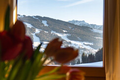 Trillerhof-Ramsau-am-Dachstein-Appartments-Ferienw