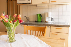 Trillerhof-Ramsau-am-Dachstein-Appartments-Ferienw