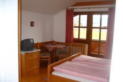 Der Wohn-/Schlafraum