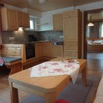 obrázek Apartmán, sprcha, WC, 1 místnost na spaní