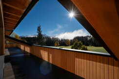 waldrand_-photography_2023-2