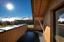 waldrand_-photography_2023-4