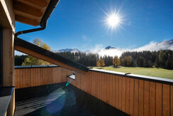 waldrand_-photography_2023-5