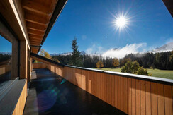 waldrand_-photography_2023-3