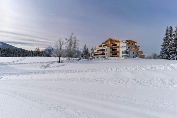 waldrand_-photography_2023-winter-6