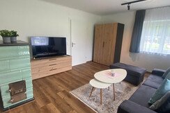 Wohnzimmer Apartment Dachstein