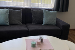 Wohnzimmer Apartement Dachstein