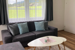 Wohnzimmer Apartment Dachstein