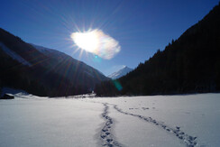 WinterDSC00312 (2) - Kopie