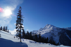 WinterDSC00973 - Kopie