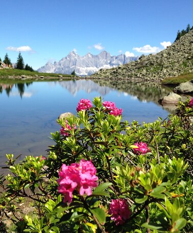 © Reiteralm Bergbahnen | Reiteralm Spiegelsee