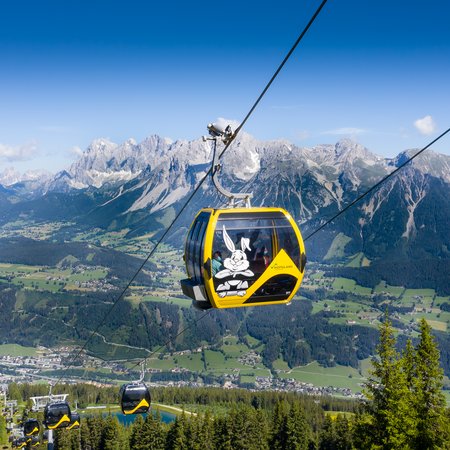 © Johannes Absenger