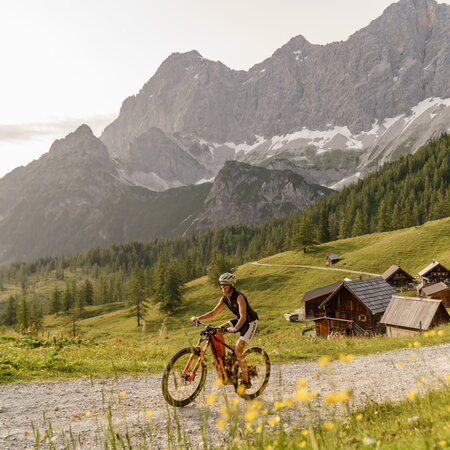 © Christine Höflehner